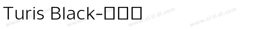 Turis Black字体转换